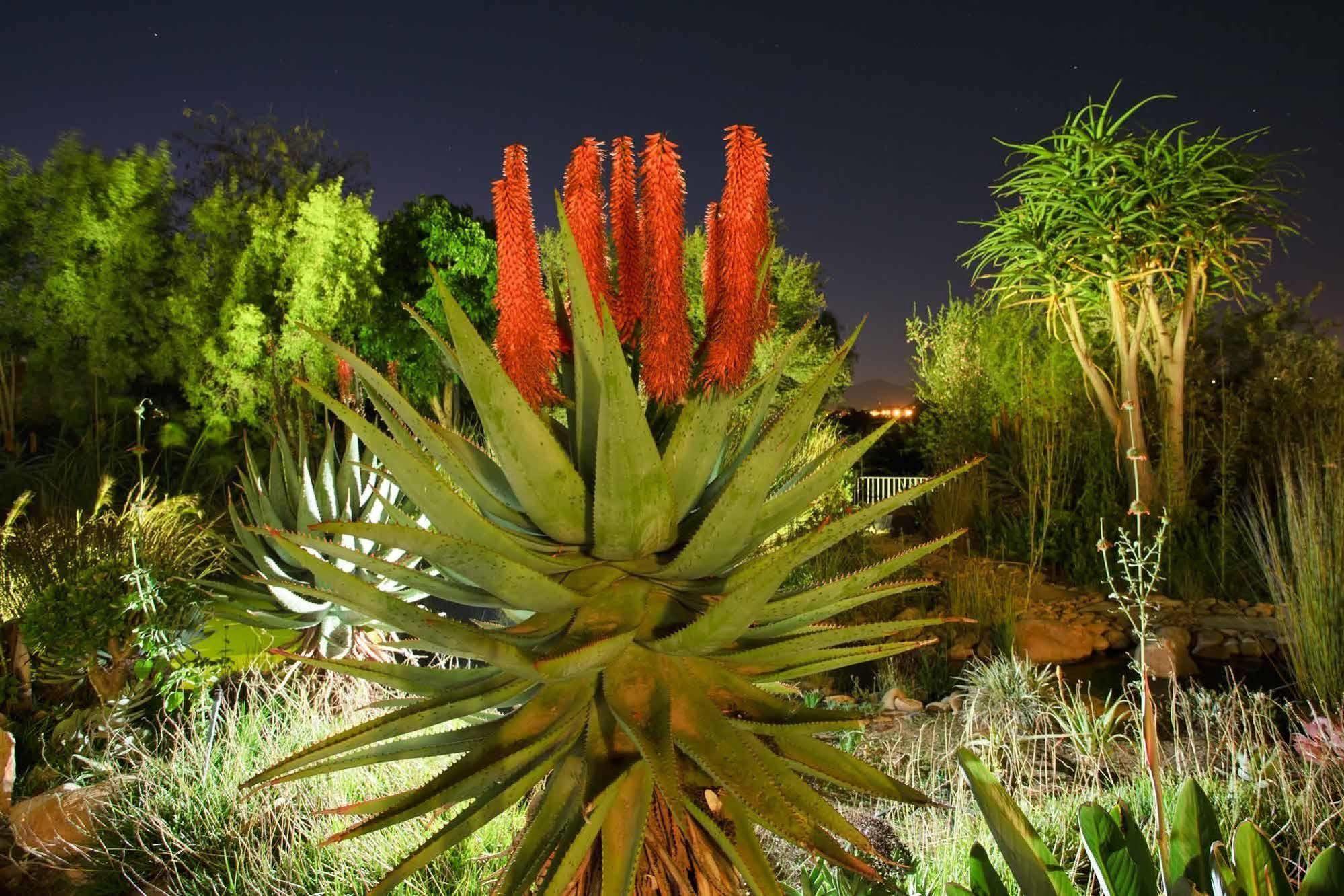 Hotel Aloe Manor à Oudtshoorn Extérieur photo